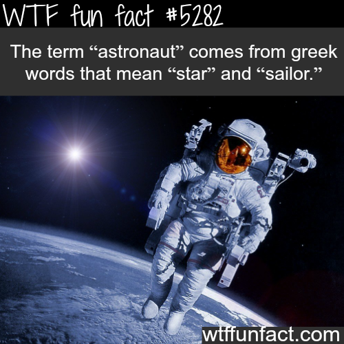 tumblr_o2usdjaELd1roqv59o1_500.png