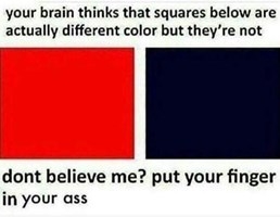 2q0thsgtcxbi.jpg