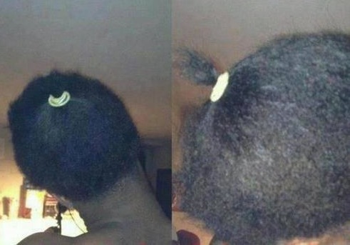 StingyPonytail.jpeg