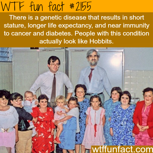 tumblr_mz7adqMDSv1roqv59o1_500.png