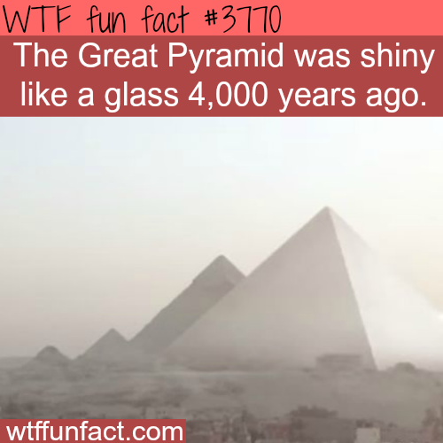 tumblr_nlwiabk8SS1roqv59o1_500.png