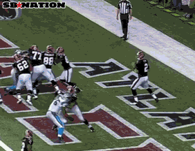 falcons.gif