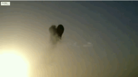 jvgm13q3xoty.gif