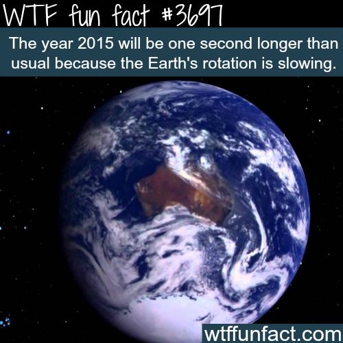 tumblr_nl13tzQ6zS1roqv59o1_500.png
