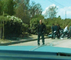 tumblr_mvhjivkRc21reyupco1_250.gif