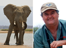 s-IAN-GIBSON-KILLED-BY-ELEPHANT-large.jpg