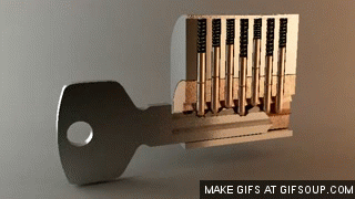 oxu4vcd3sqhn.gif