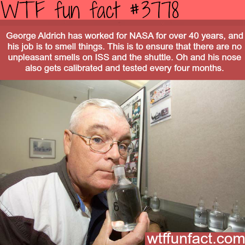 tumblr_nm06hrTpAM1roqv59o1_500.png
