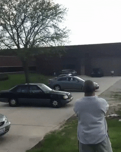4tnjs8yaixng.gif
