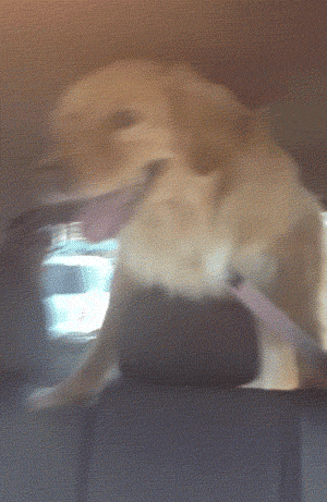 hhhd1a280q6a.gif