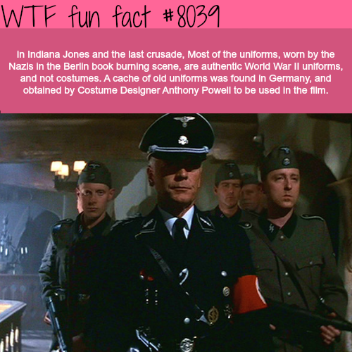 tumblr_oxydt1XEzz1roqv59o1_500.png
