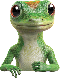 gecko-half.png