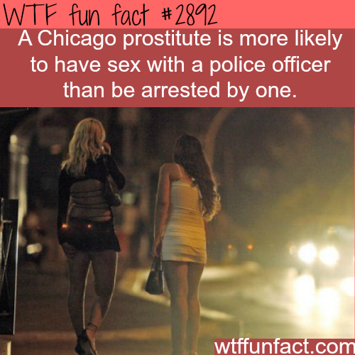 tumblr_nan5fyyyR41roqv59o1_500.png