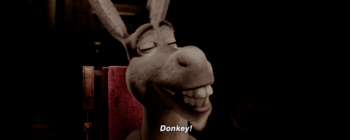 tumblr_nzcma2Y9l71s239dso2_500.gif