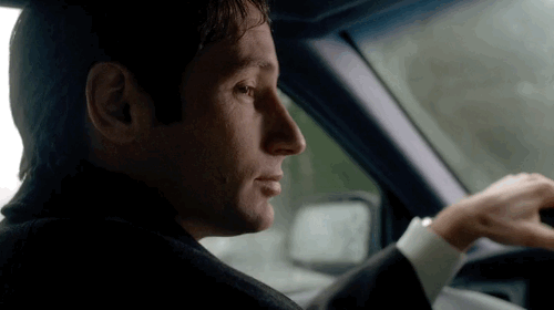 dyg43yp72w3t.gif