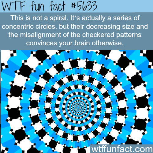 tumblr_o5pfcs1CMd1roqv59o1_500.png