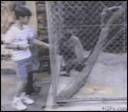 had-enough3_failgif-100104.gif