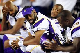 mcnabb-vikings.jpg