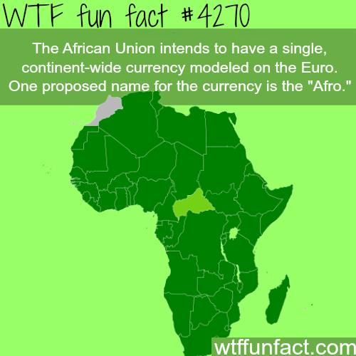 tumblr_nrfikudwpW1roqv59o1_500.png