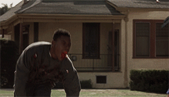 tumblr_mi6cvoWvpV1s2estro8_r1_250.gif