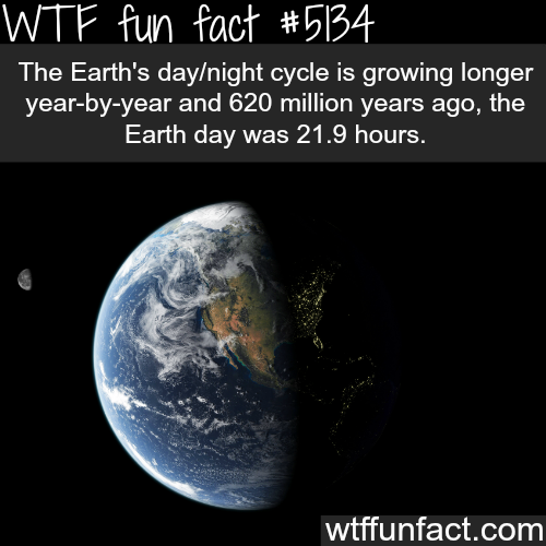 tumblr_o14vf4A0hT1roqv59o1_500.png