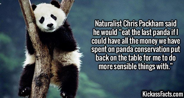 2634-Panda-Conservation.jpg