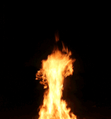 g6m5054yufa6.gif