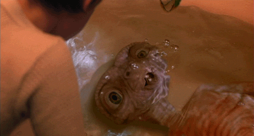 tumblr_lh8ccp5kc31qdofe5o1_500.gif