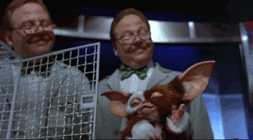 29aw9vu4467c.gif