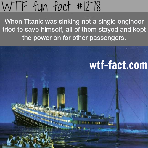 tumblr_mjvp91FjA91roqv59o1_r1_500.png