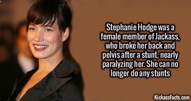 1278-Stephanie-Hodge1.jpg