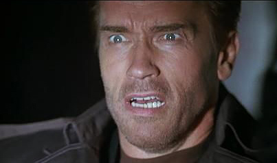arnold-schwarzenegger-end21.jpg
