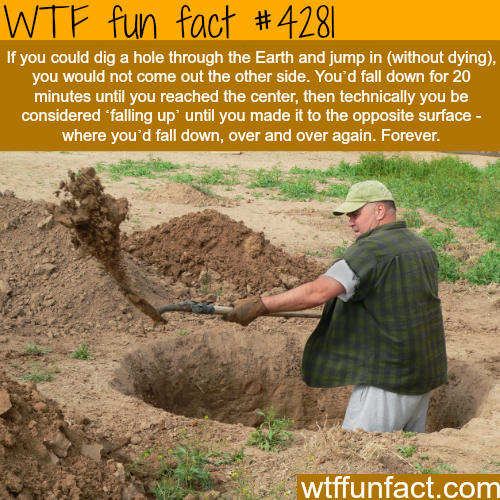 tumblr_nrjf92l70j1roqv59o1_500.png