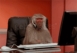 tumblr_nuqw8qX6mJ1tqoh77o1_250.gif