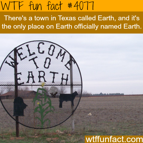 tumblr_npef409eTD1roqv59o1_500.png