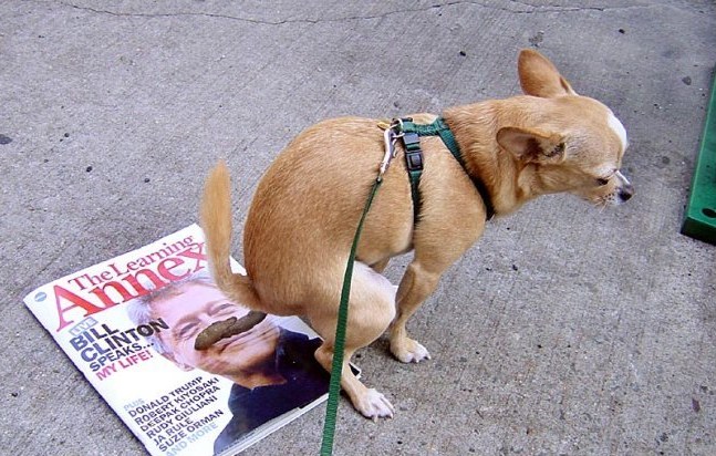 dog-pooping-on-president-clinton.jpg