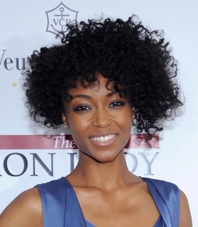 natural-curly-hair-styles-african-americans.jpg