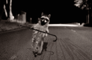 ec58f52687adb266a6f5abbc1d27896a.gif
