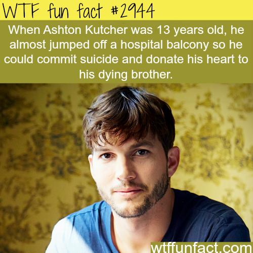 tumblr_nbcrawGXIH1roqv59o1_500.png