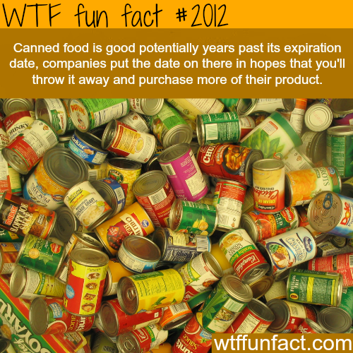 tumblr_mw6mvcd2vu1roqv59o1_500.png