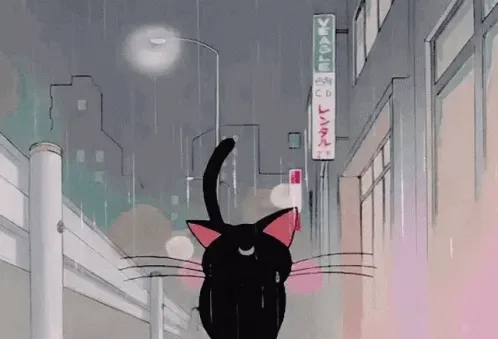 qrW15.gif