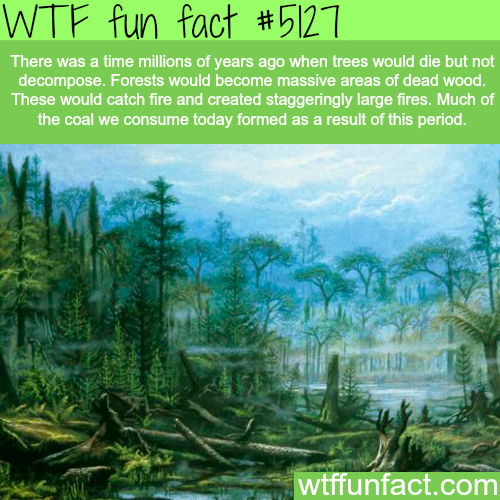 tumblr_o128bu5BMe1roqv59o1_500.png