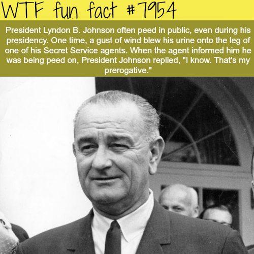 tumblr_owm85e78xE1roqv59o1_500.png