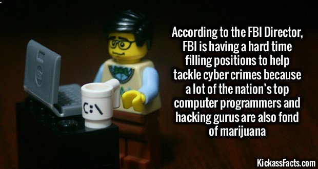 1222-Programmers-Smoking-Marijuana.jpg
