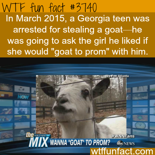 tumblr_nljf4f4Utt1roqv59o1_500.png