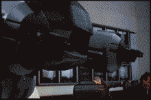 giphy.gif