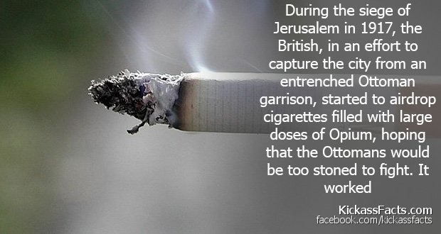 96Cigarette.jpg
