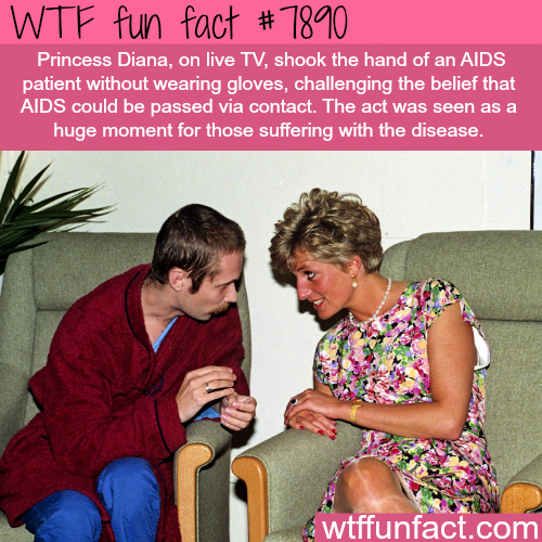 tumblr_ovkf40y27X1roqv59o1_500.png