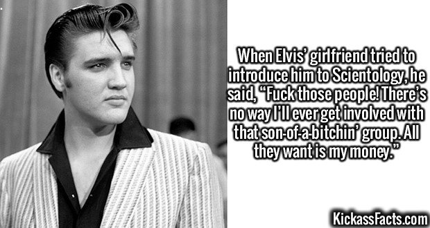2637-Elvis.jpg