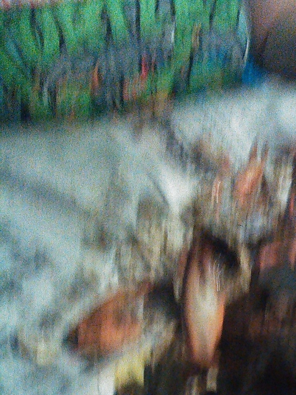 87ccyrl673xu.jpg